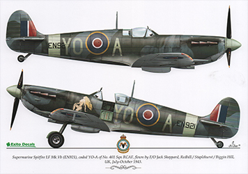 Sexy Spitfires