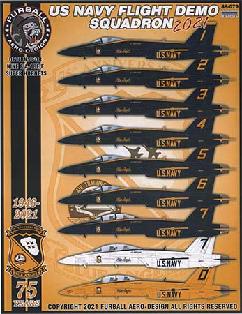 US Navy Flight Demo Squadron 2021