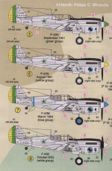 P-40 1°/14° G.Av.