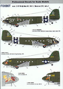 Foxbot 1/48 C-47 Pin-up Nose Art w/Airframe Stencils Part 1 Decal First Look