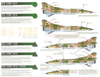 Linden Hill Decals