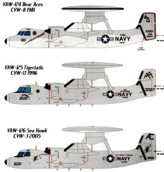 Atlantic Coast Hawkeyes Decals