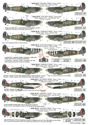 Spitfires of the 350th Squadron 1941-1949