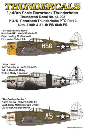 P-47D Razorback Thunderbolts PTO Part 3