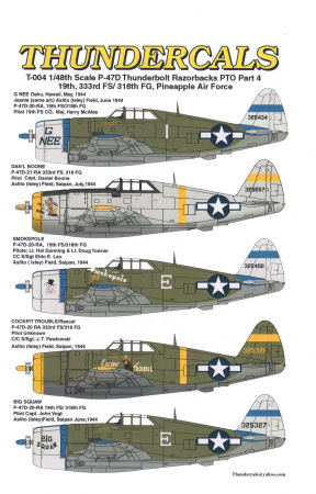 P-47D Razorback Thunderbolts PTO Part 4