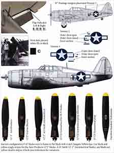 P-47 Thunderbolt National Insignia + Data