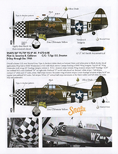 P-47D Bubbletop and Razorback Thunderbolts ETO Part 1