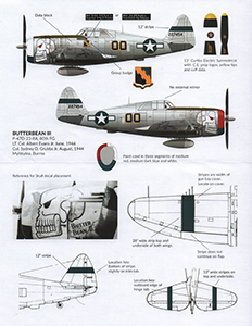 P-47D Razorback Thunderbolts CBI