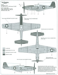P-61