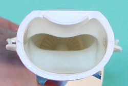 SLUF Lips