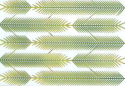 Palm Leaf 2