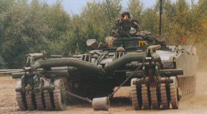 DML Tiger