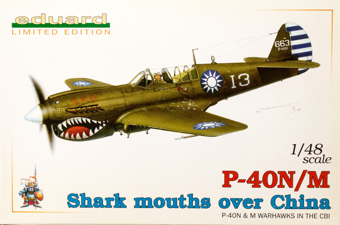 P-40 Kit