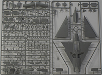 Cheetah D Kit