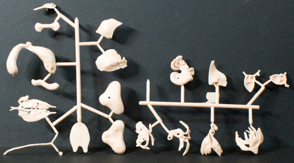 Lindberg 0301 1/1 Transparent Bullfrog Parts Image 03