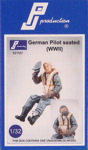 PGerman Pilot Seated in Aircraft