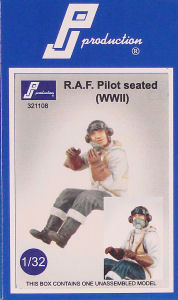 RAF Pilot Seated in Aircraft