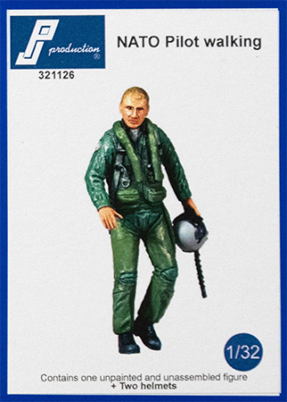 NATO Pilot Walking