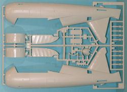 Lysander