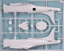SBD-1/2