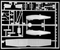 ANT-5