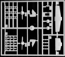 ANT-5