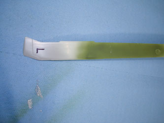 Mission Models Paint
