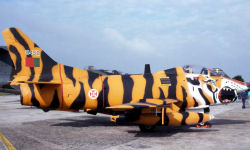 Worldwide Military No.5
