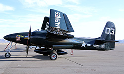Warbird Collection No.8
