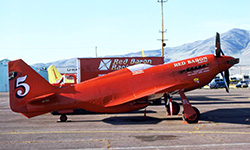 Mustang