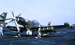 Mustang