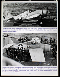 F4F and FM Wildcat
