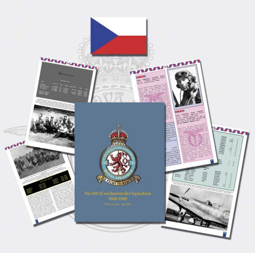 310 Sqn