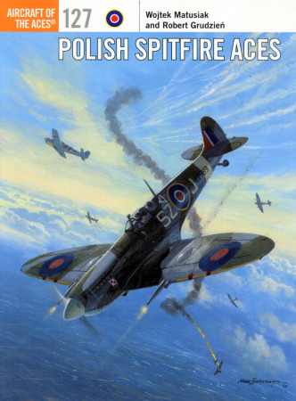 Polish Spitfire Aces