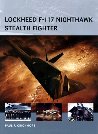 Lockheed F-117 Nighthawk Stealth Fighter