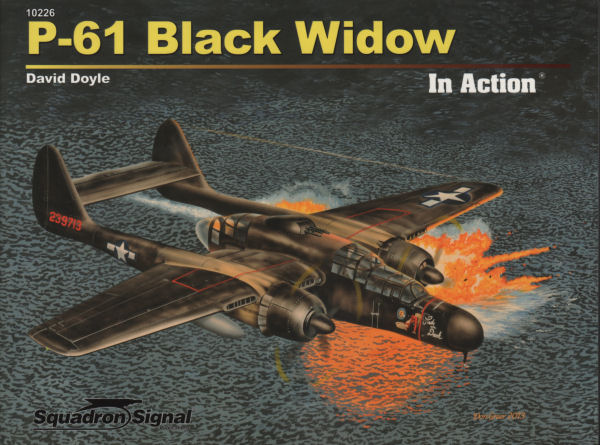 P-61 Black Widow In Action