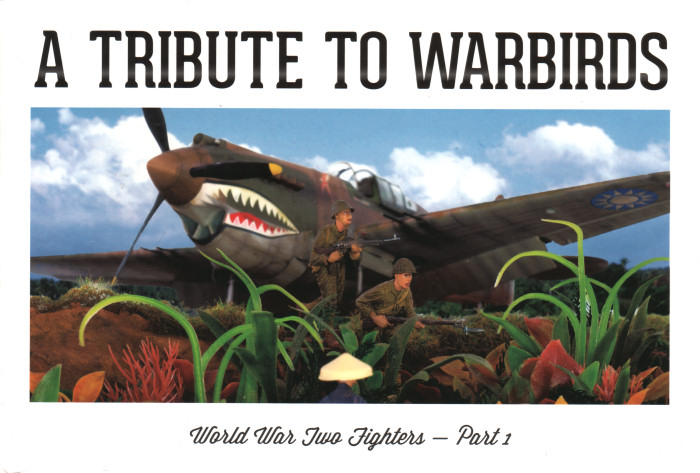A Tribute To Warbirds WW2 Fighters Part 1