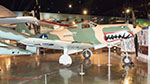 Kalamazoo Air Zoo Photo Gallery