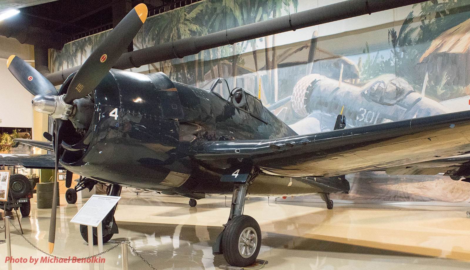 Kalamazoo Air Zoo Photo 020