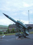 Bloodhound