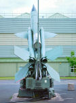 Bloodhound