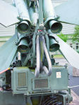 Bloodhound