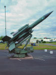 Bloodhound