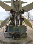 Bloodhound