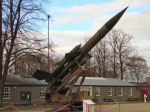 Bloodhound
