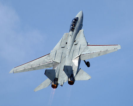F-14 Tomcats Side-By-Side in 1/48th Scale
