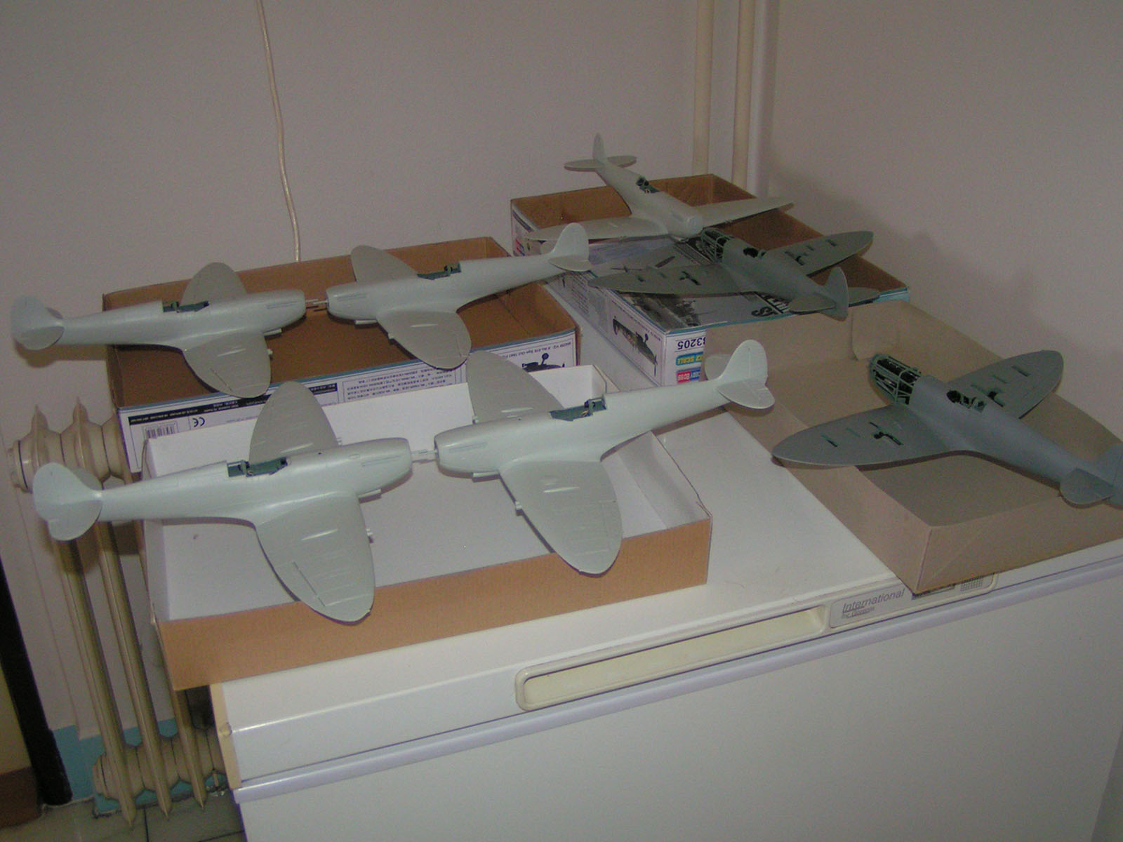 Hradecky Lev 2018 Contest Room Photo 001