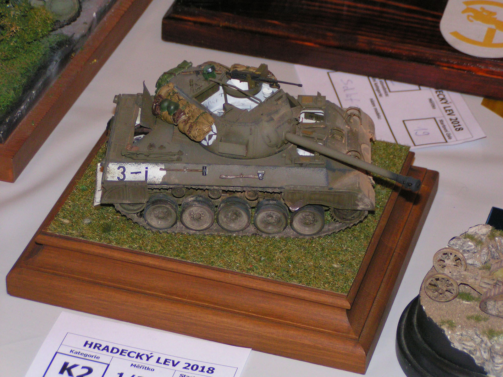 Hradecky Lev 2018 Contest Room Photo 008
