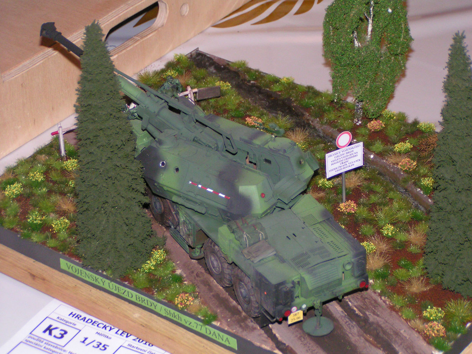 Hradecky Lev 2018 Contest Room Photo 012