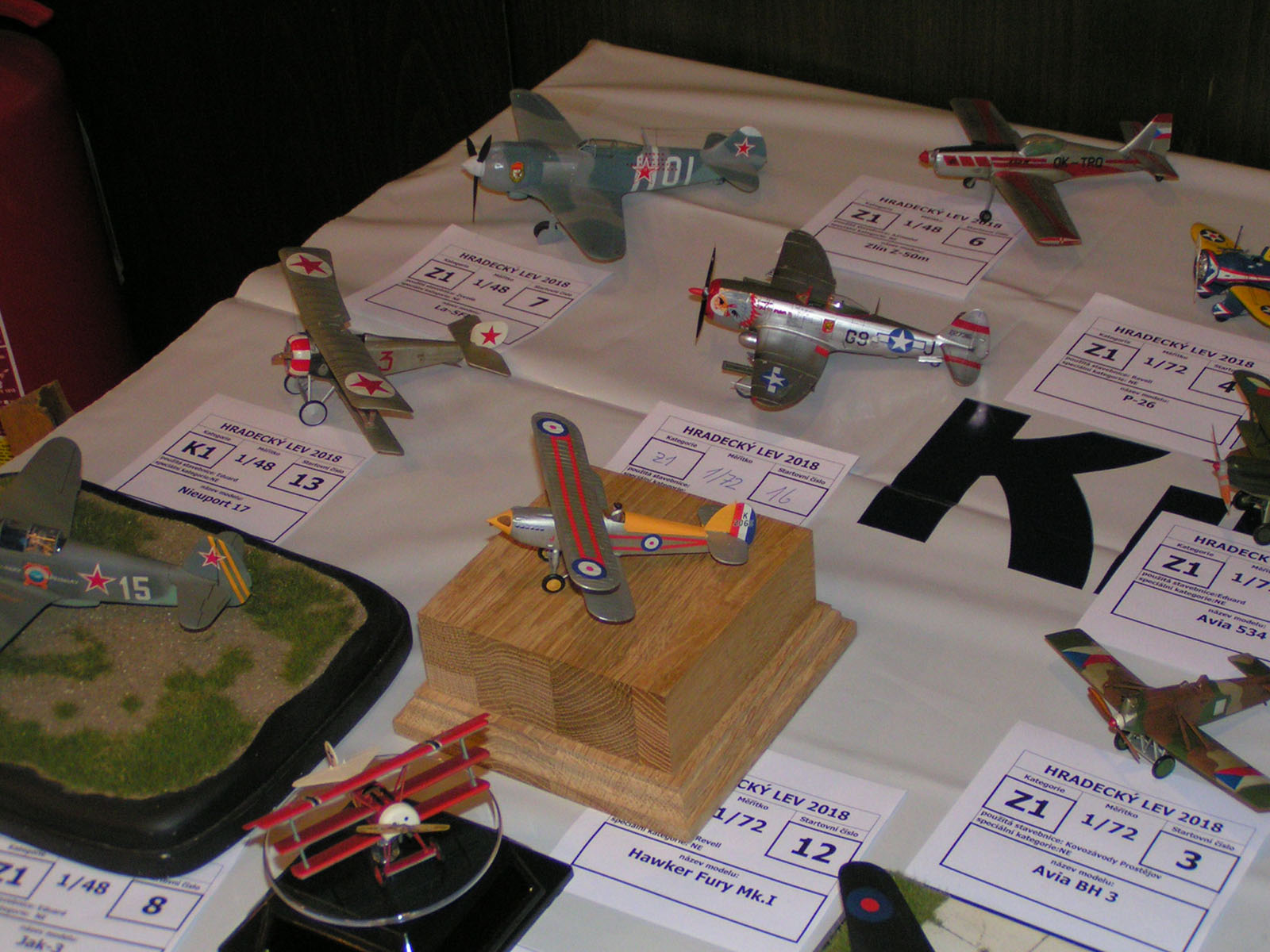 Hradecky Lev 2018 Contest Room Photo 013